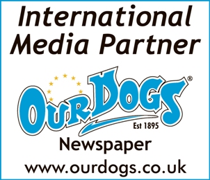 international media partner logo resized